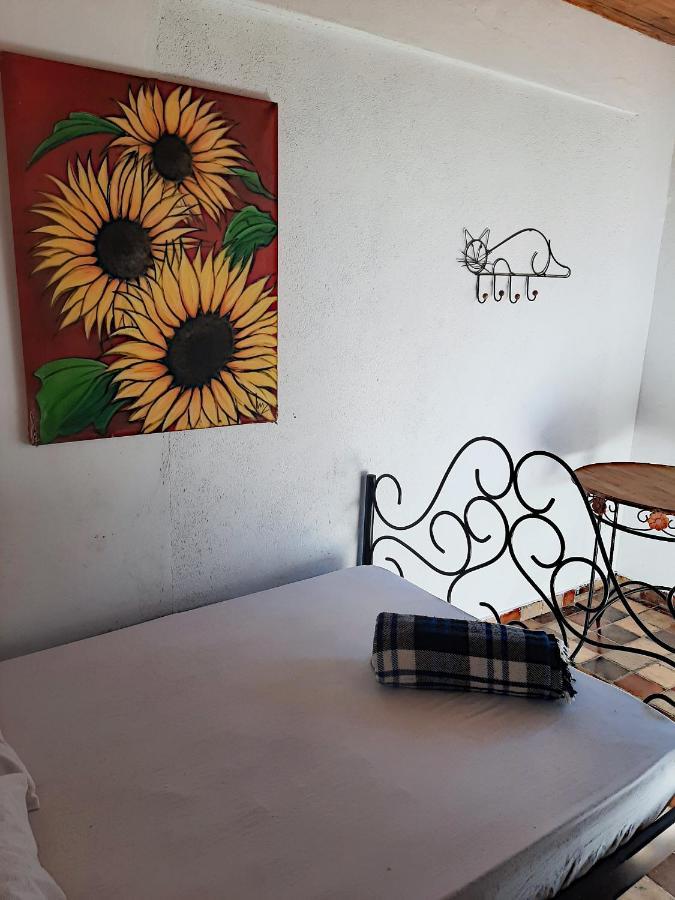 Hospedaria E Hostel Da Deia オウロ・プレット エクステリア 写真